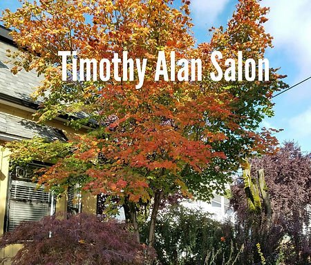 Photo of Timothy Alan Salon