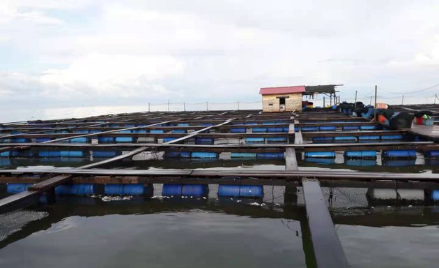 Photo of hg Aquaculture Sdn.bhd