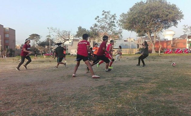 Foto de Campo de Quidditch FDPQ