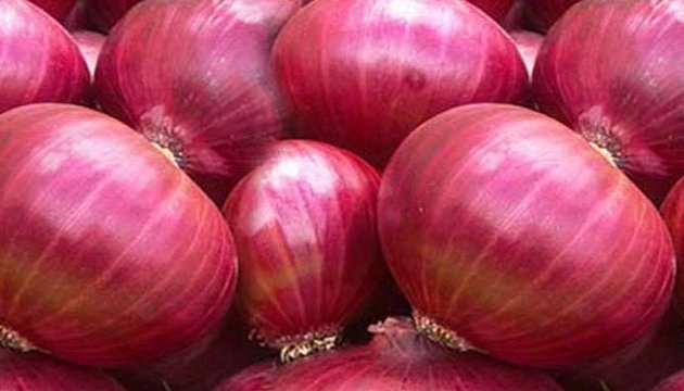 Photo of Shreeji Office Need /Red Onion/fresh Garlic / Chilli exporters/fresh Tomato /Fresh Vegetables exporters / Fresh Fruits exporters / Indian pulses exporters / Indian Spices exporters / supplier in Bengaluru / Karnataka / India