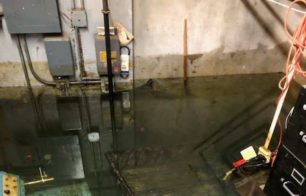 Photo of inspek mold test & remediation