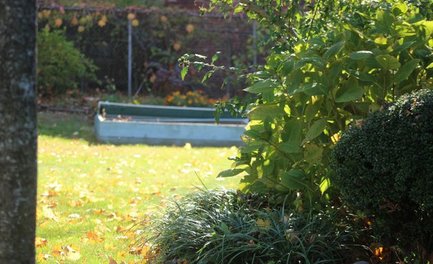 Photo of Pembroke Avenue Community Garden