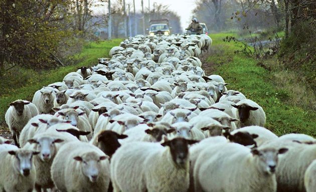 Photo of Eastern Ontario Farmers Forum