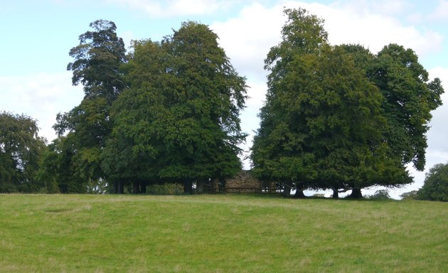 Photo of Aberford Park