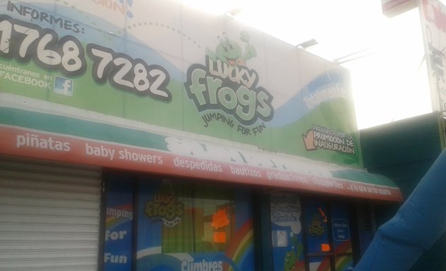 Foto de LUCKY frogs JUMPING FOR FUM