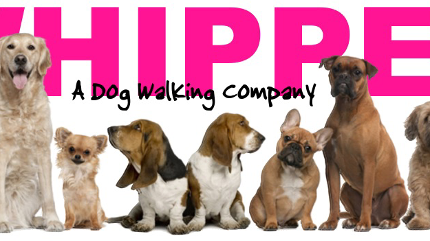 Photo of Whippet A Dog Walking Company