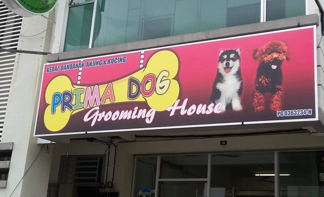 Photo of Prima Dog Grooming House