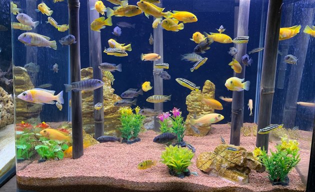 Photo of Manjunath Aquarium, Manjunath Nagar