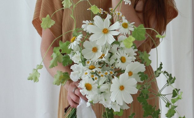 Photo of Flower & Branch