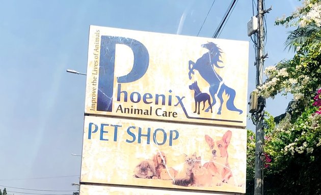 Photo of Phoenix Animal Care Ltd.