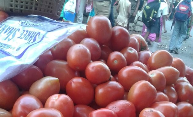 Photo of Mohan Tomato Center