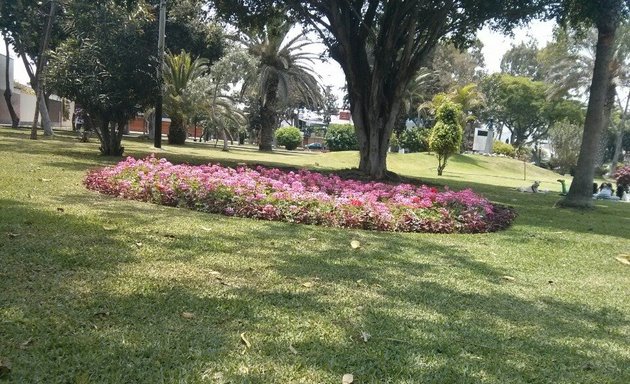 Foto de Parque Melvin Jones N° 2