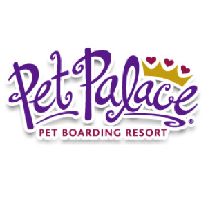Photo of Pet Palace - Charlotte