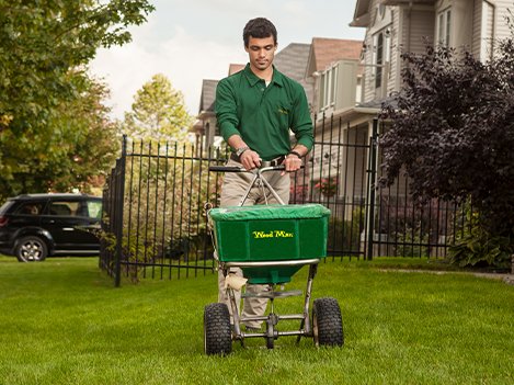 Photo of Weed Man | Entretien de pelouses