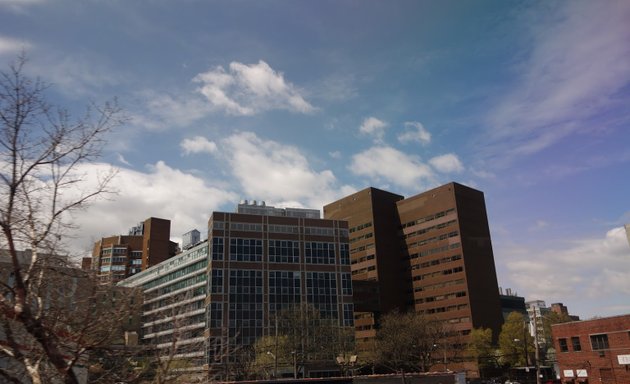 Photo of Forchheimer Fifth Floor Lecture Hall