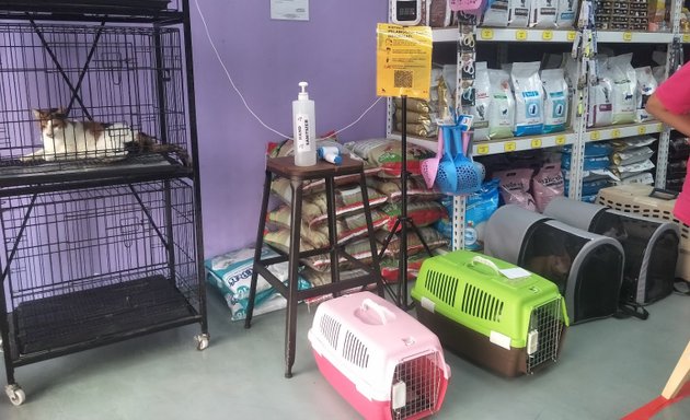 Photo of U R My Pet House Sdn Bhd @ Taman Prima Saujana