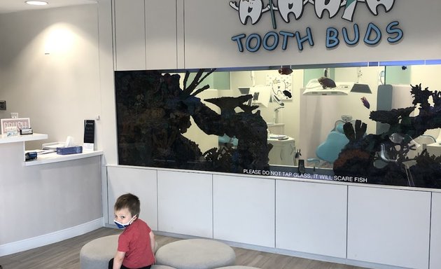 Photo of Toothbuds Pediatric Dentistry