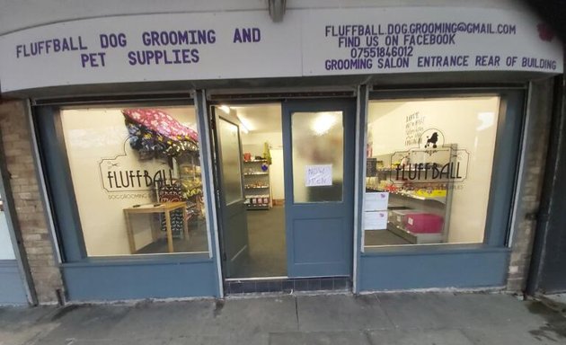 Photo of fluffball dog Grooming and pet supplies.
