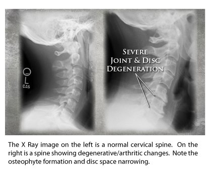 Photo of Gray Chiropractic Spine & Joint Clinic