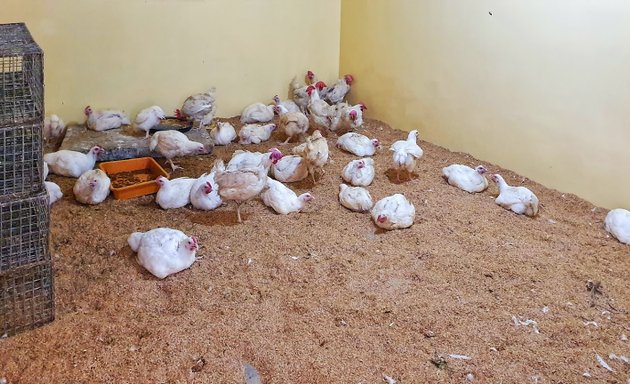 Photo of Priya Chicken Center