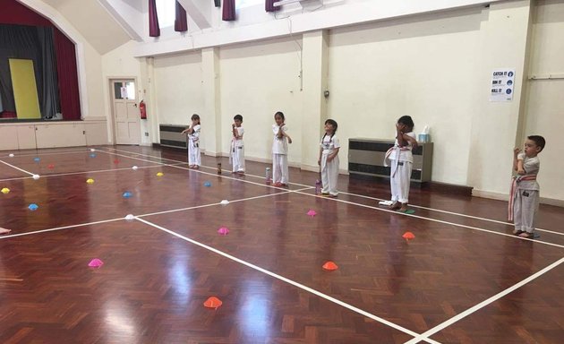 Photo of Black Panther School Of Japanese Karate