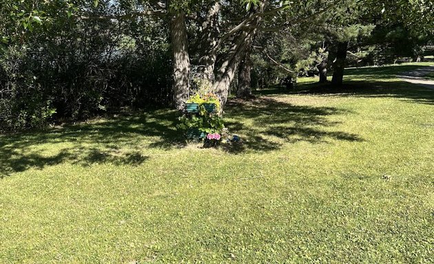 Photo of Potter Greens Pond