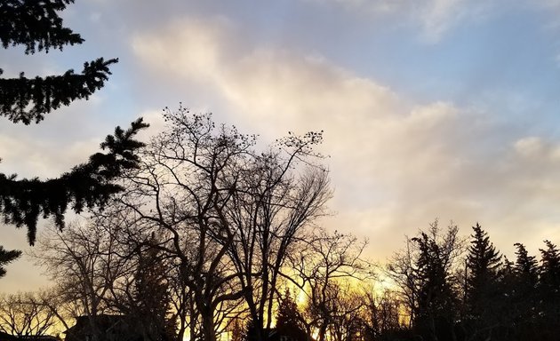 Photo of West Confederation Park