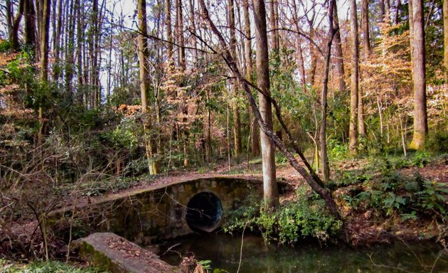 Photo of Lenox-Wildwood Park