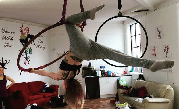 Photo of PoleKat Fitness Aerial Arts Academy