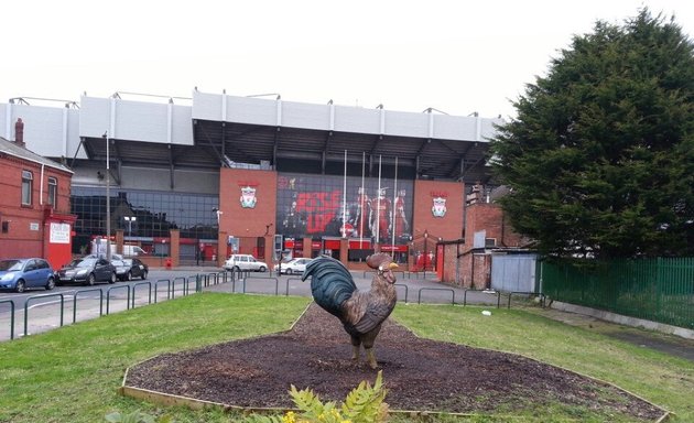 Photo of LFC Stadium Tours