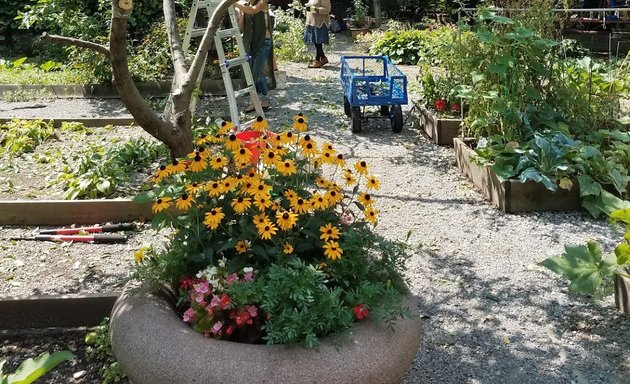 Photo of Carver Community Garden