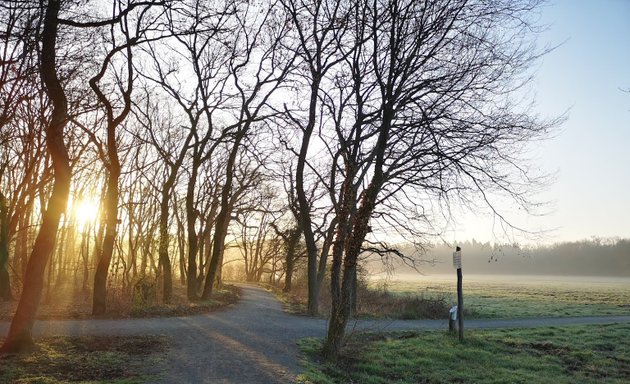 Foto von Kobelt-Ruhe