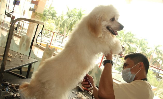 Photo of Cebu Veterinary Doctors - BTC Branch