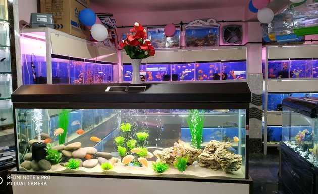 Photo of Bhanu Aquariums