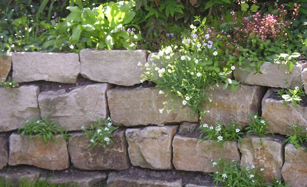 Foto von Korkmaz Garten-, Landschaftsbau