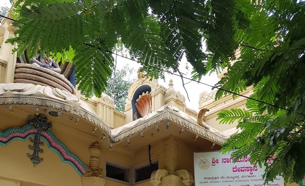 Photo of Nagamuneshwara Temple