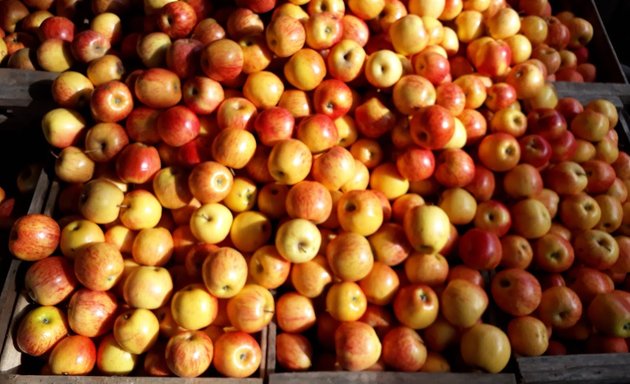 Foto de Frutas Y Verduras Cyc