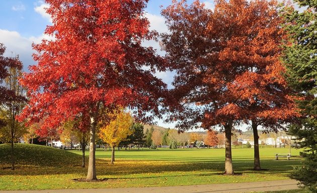 Photo of Ben Lee Park - Water Park