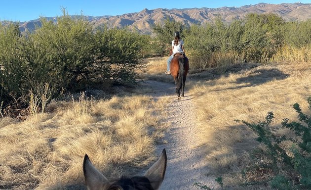 Photo of La Rienda Stables