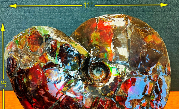 Photo of Aurora Ammolite