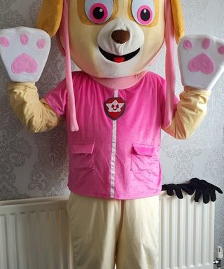 Photo of East Midlands Volunteer Mascots
