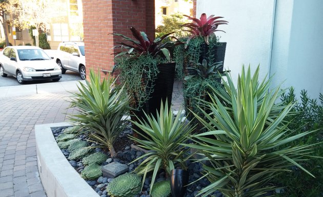 Photo of Mission Bay Landscaping Corporation