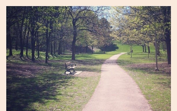 Photo of Blythwood Ravine Park