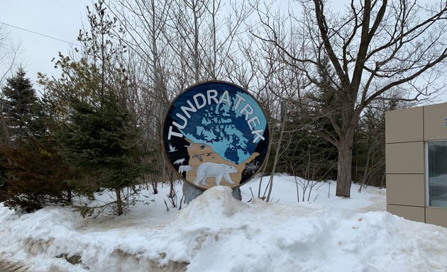 Photo of Tundra Trek