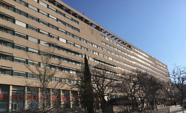 Photo de IBDM (Institut de Biologie du Développement de Marseille)