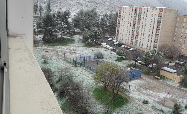 Photo de Jardin Néréïdes-Bosquet