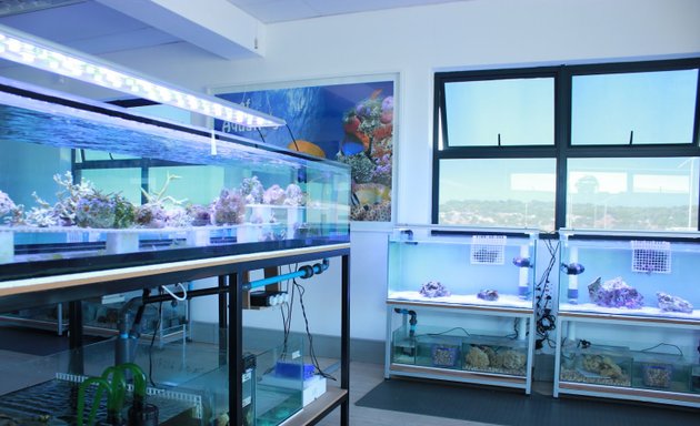 Photo of Reef Aquatics [No Shop, Webstore and Online Only]