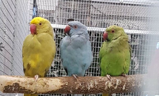 Photo of Barkingside Birds & Garden Centre Ltd