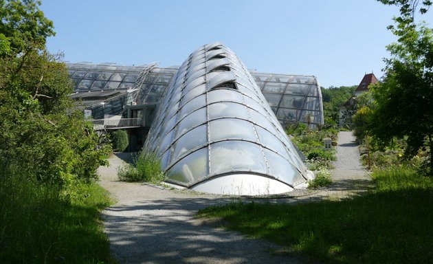 Foto von Botanischer Garten der Universität Graz