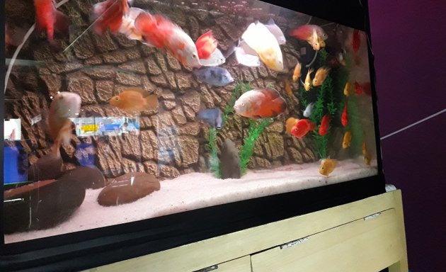 Photo of sri shakthi aquarium